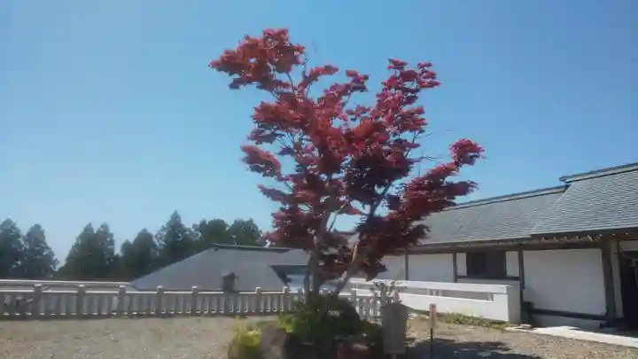 秋葉山本宮 秋葉神社 上社(静岡県)