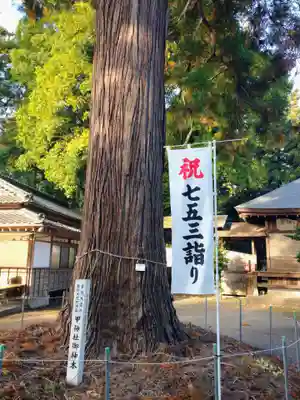 甲神社(茨城県)