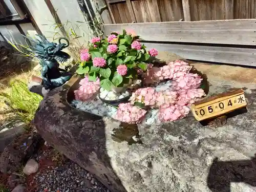 琴似神社(北海道)