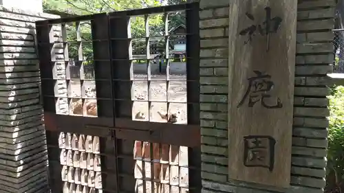 三嶋大社(静岡県)