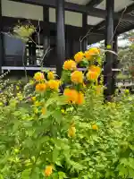 中宮寺の{uncategorized: "未分類", other: "その他", undefined: "問題あり", building: "その他建物", grave: "お墓", sacred_gate: "鳥居", guardian: "狛犬", statue: "像", buddha: "仏像", history: "歴史", nature: "自然", garden: "庭園", animal: "動物", pagoda: "塔", temizu: "手水舎", mountain_gate: "山門・神門", sanctuary: "本殿・本堂", subordinate: "末社・摂社", art: "芸術", scenery: "景色", jizo: "地蔵", ema: "絵馬", goshuin: "御朱印", omikuji: "おみくじ", items: "授与品その他", amulet: "お守り", goshuincho: "御朱印帳", eats: "食事", festival: "お祭り", votive_dance: "神楽", shichigosan: "七五三参", wedding: "結婚式", experience: "体験その他", initially: "初詣", around: "周辺", anti_infection: "感染症対策"}