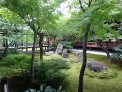 建仁寺（建仁禅寺）の庭園