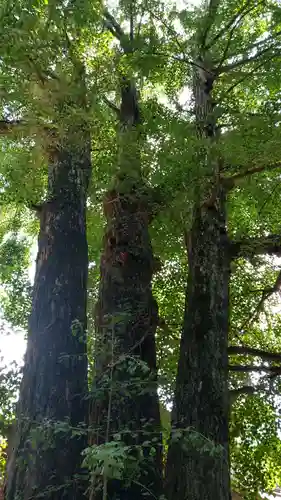玉敷神社(埼玉県)