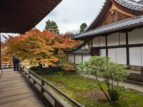 大覚寺の庭園