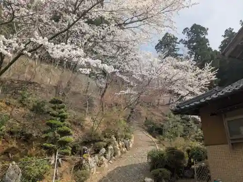 萬徳寺(福井県)