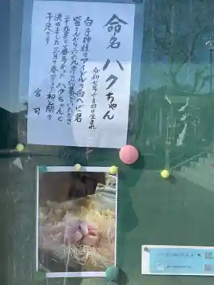 白子神社(千葉県)