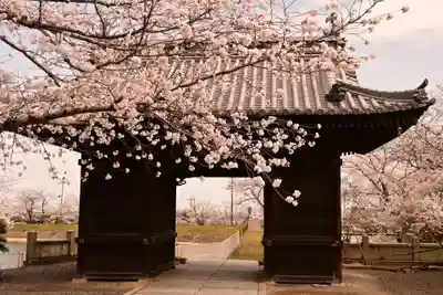 久妙寺(愛媛県)