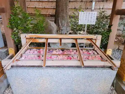 東京大神宮の手水舎