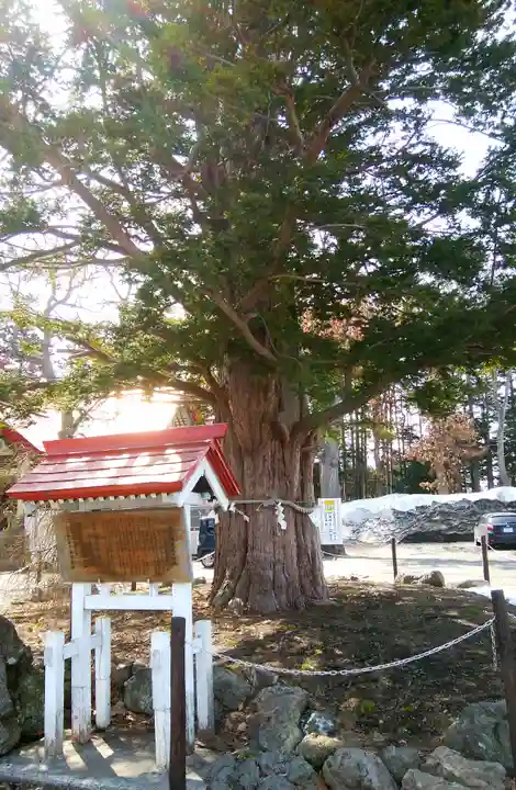 豊栄神社の自然