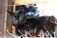 高司神社〜むすびの神の鎮まる社〜の動物