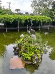 川崎大師（平間寺）(神奈川県)