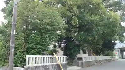 渡神社(静岡県)