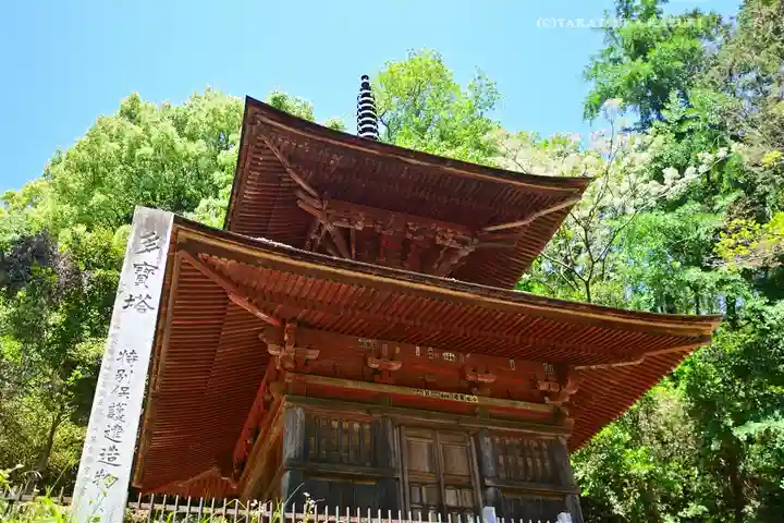武蔵二宮 金鑚神社(埼玉県)