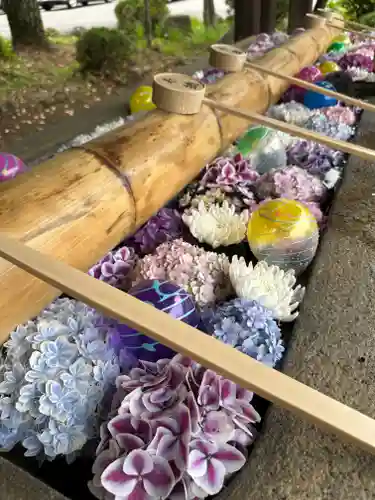 群馬県護国神社(群馬県)