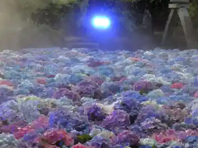 楽法寺(雨引観音)のお祭り