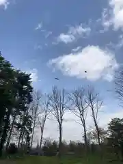 長沼神社の自然