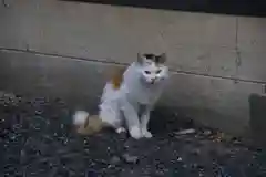 阿邪訶根神社の動物