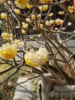 荏柄天神社(神奈川県)