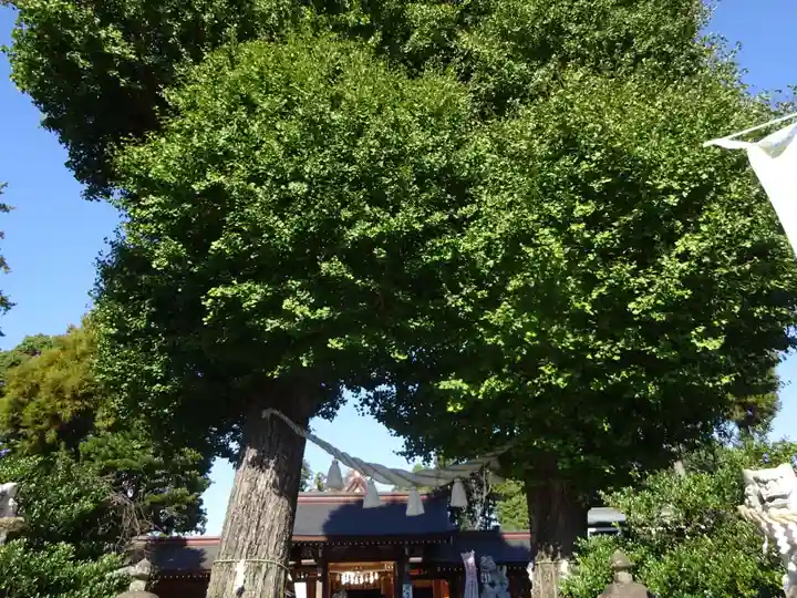 亀ケ池八幡宮の自然