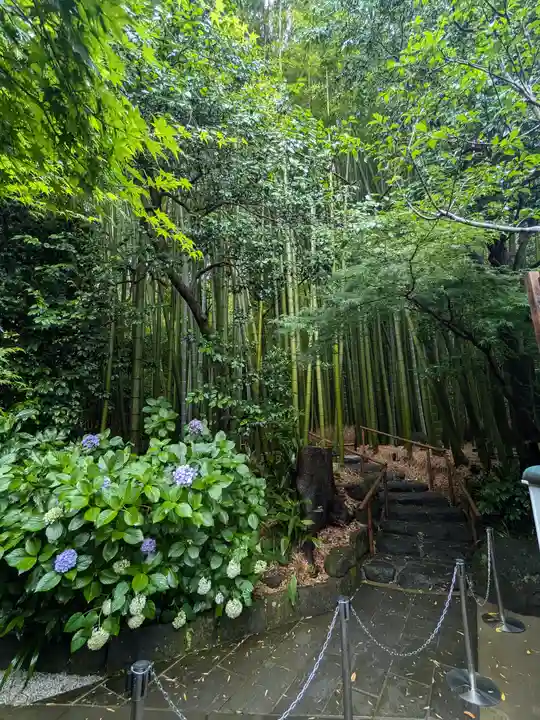 報国寺(神奈川県)