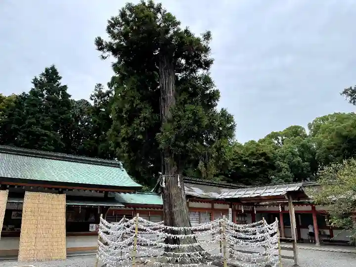 石清水八幡宮(京都府)