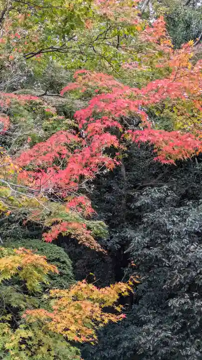 善峯寺(京都府)