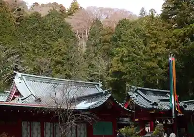 箱根神社(神奈川県)