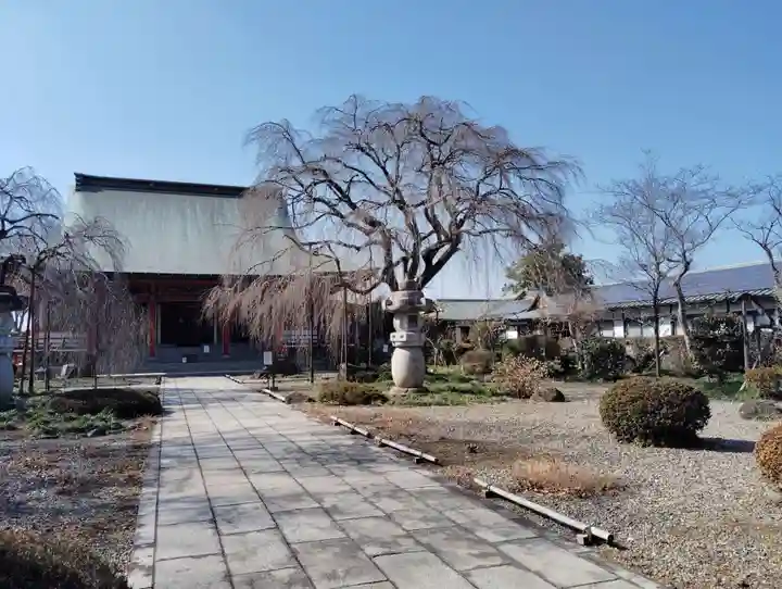 善導寺(群馬県)