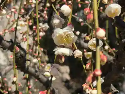 結城神社(三重県)