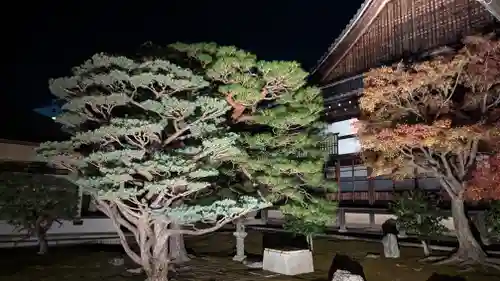 妙覺寺（妙覚寺）(京都府)