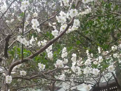 御霊神社の自然
