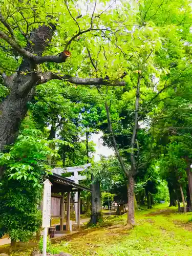 星宮神社(茨城県)