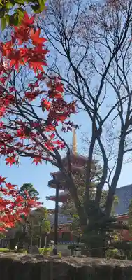 浅草寺のその他建物