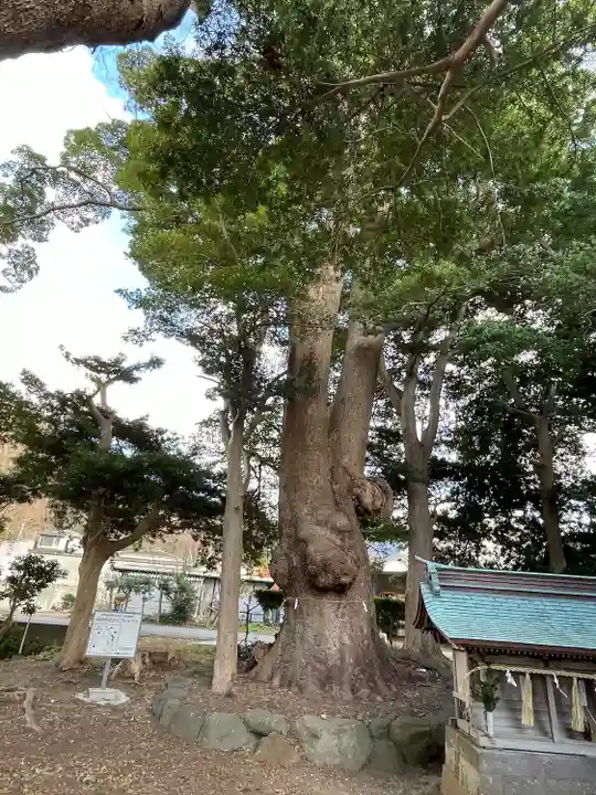 部田神社(静岡県)