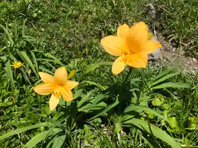 月山神社本宮の自然