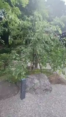 貫井神社(東京都)