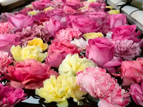 津島神社の手水舎