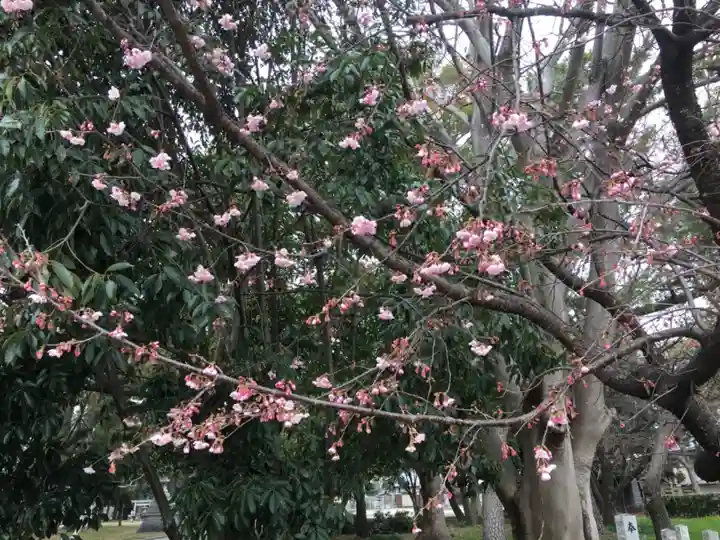 高取神明宮の自然