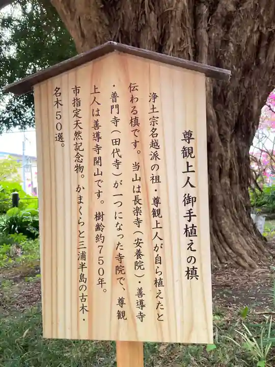 安養院 (田代寺)(神奈川県)