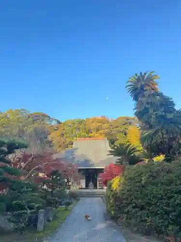 伊勢の国 四天王寺(三重県)