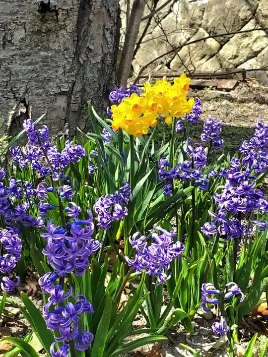 如宝寺(福島県)