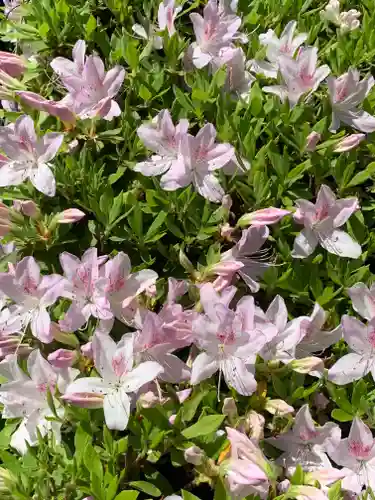 雲巌寺(栃木県)