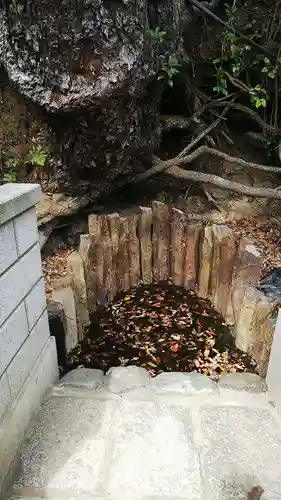 師岡熊野神社の庭園