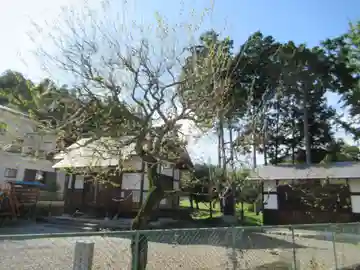 伊奈沢天神社(東京都)
