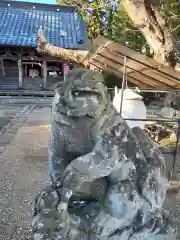 櫻田山神社の狛犬