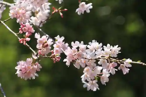 大六天麻王神社の庭園