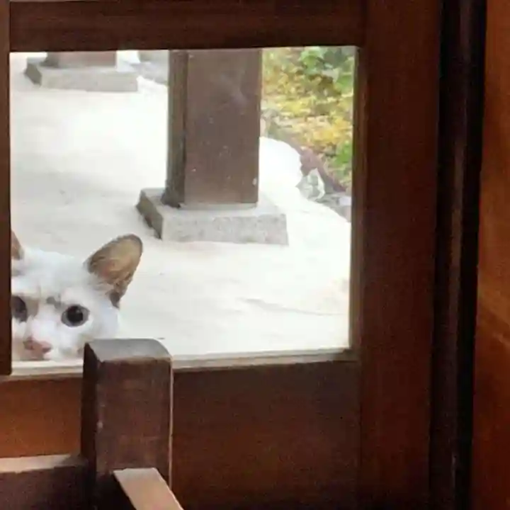 三輪神社の動物