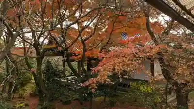 法金剛院(京都府)