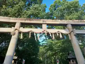 刺田比古神社の鳥居(2025年09月12日(金) 04時36分54秒投稿)