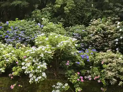 高幡不動尊　金剛寺(東京都)